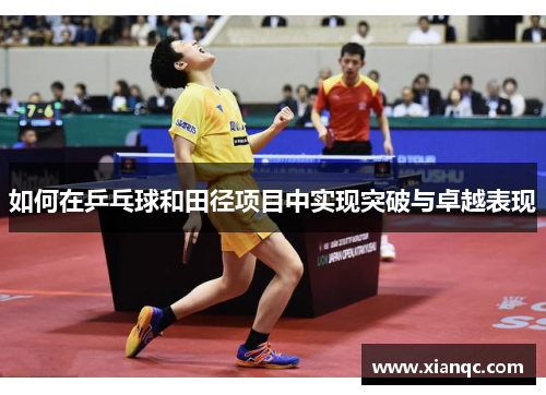 如何在乒乓球和田径项目中实现突破与卓越表现