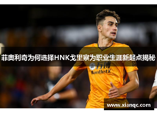 菲奥利奇为何选择HNK戈里察为职业生涯新起点揭秘