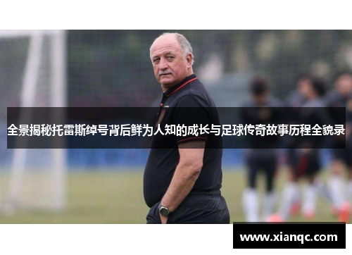 全景揭秘托雷斯绰号背后鲜为人知的成长与足球传奇故事历程全貌录
