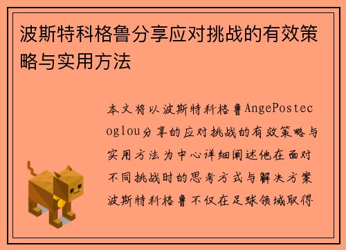 波斯特科格鲁分享应对挑战的有效策略与实用方法